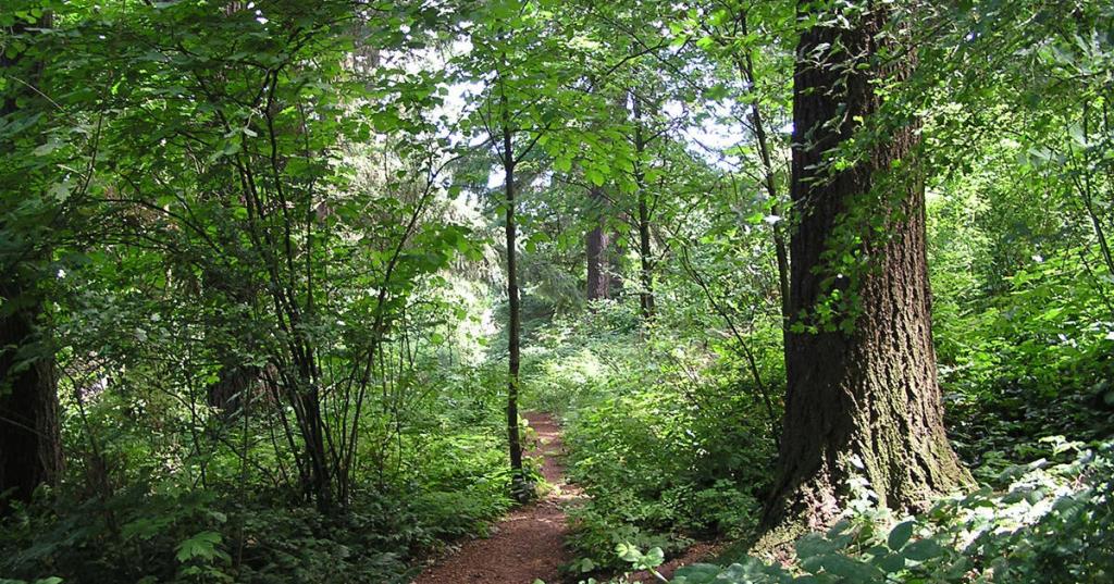 21 Excellent Proverbs on Reaching Your Goals